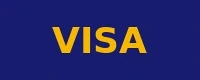 Visa accepted payment method logo at Playamo